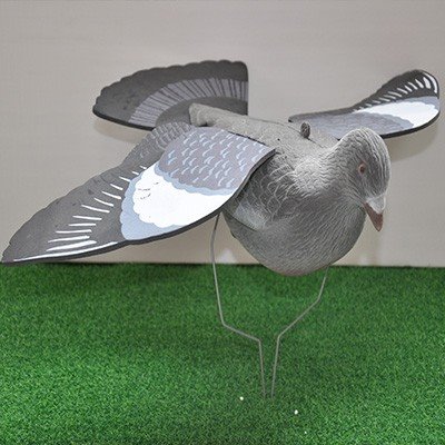 Simulation Pigeon